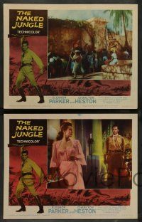 7w468 NAKED JUNGLE 8 LCs R60 romantic close up of Charlton Heston & Eleanor Parker, George Pal