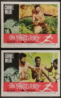 7w469 NAKED PREY 8 LCs '65 Cornel Wilde stripped and weaponless in Africa running from killers!
