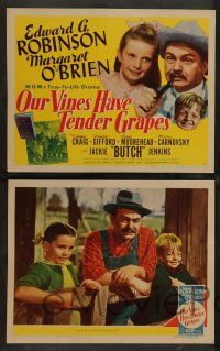 7w508 OUR VINES HAVE TENDER GRAPES 8 LCs '45 Edward G. Robinson & young Margaret O'Brien!