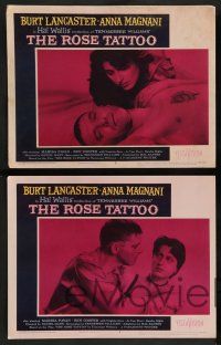 7w584 ROSE TATTOO 8 LCs '55 Burt Lancaster, Anna Magnani, written by Tennessee Williams!