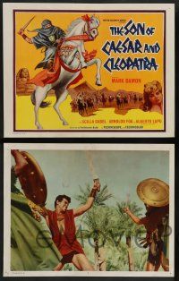 7w622 SON OF CAESAR & CLEOPATRA 8 LCs '64 Mark Damon, Baldi's Il Figlio Di Cleopatra!