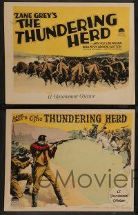 7w687 THUNDERING HERD 8 LCs '25 cowboy Jack Holt, Lois Wilson, from Zane Grey story!