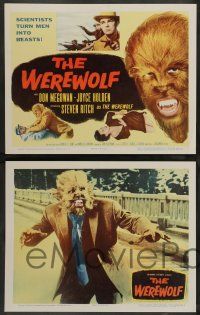7w751 WEREWOLF 8 LCs '56 Steven Ritch as the wolf-man, scientists turn men into beasts!