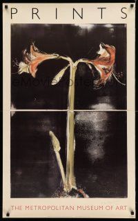 8d142 MARY FRANK signed 24x39 art print '77 by the artist, Amaryllis flower artwork!