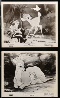 8h261 BAMBI 14 8x10 stills R66 Walt Disney, wonderful images from cartoon deer classic!