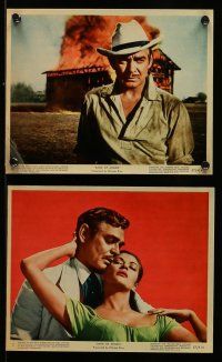 8h019 BAND OF ANGELS 10 color 8x10 stills '57 Clark Gable & beautiful slave mistress Yvonne De Carlo