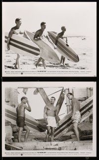 8h116 BIG WEDNESDAY 37 8x10 stills '78 John Milius surfing classic, Gary Busey, Jan-Michael Vincent