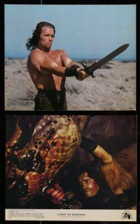 8h063 CONAN THE BARBARIAN 7 8x10 mini LCs '82 Arnold Schwarzenegger & sexy Sandahl Bergman!