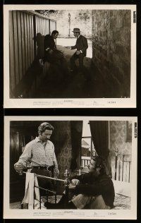8h616 KANGAROO 8 8x10 stills '51 images of Peter Lawford in the Australian outback!