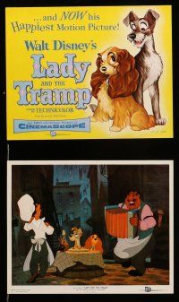 8h072 LADY & THE TRAMP 6 color 8x10 stills '55 Disney classic dog cartoon, cool different image!