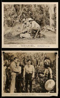 8h786 WHITE ORCHID 6 8x10 stills R57 William Lundigan, Peggie Castle, wild Aztec jungle images!