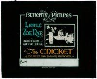 8m154 CRICKET glass slide '17 Little Zoe Rae is a child actress who is orphaned & raised by 3 men!