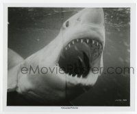 8s401 JAWS 8.25x10 still '75 best close up of Bruce, the great white shark with his mouth open!