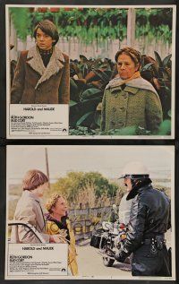 8z933 HAROLD & MAUDE 2 LCs '71 wonderful images of Ruth Gordon & Bud Cort, Ashby classic!