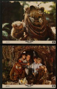 8z118 CARAVAN OF COURAGE 8 color 11x14 stills '84 An Ewok Adventure, Star Wars, Eric Walker!
