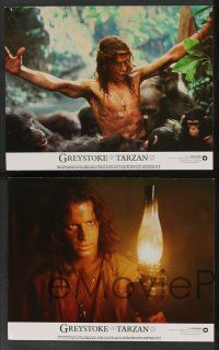 8z211 GREYSTOKE 8 color 11x14 stills '84 images of Christopher Lambert as Tarzan, Andie MacDowell!