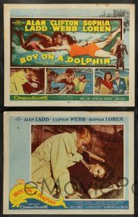 8z103 BOY ON A DOLPHIN 8 LCs '57 great images of scuba divers Alan Ladd & sexiest Sophia Loren!