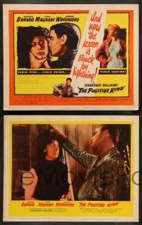 8z196 FUGITIVE KIND 8 LCs '60 Marlon Brando & Anna Magnani, directed by Sidney Lumet!