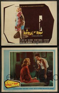 8z224 HATFUL OF RAIN 8 LCs '57 Fred Zinnemann early drug classic, Eva Marie Saint & Don Murray!