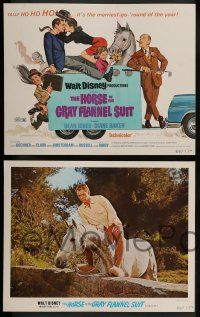 8z234 HORSE IN THE GRAY FLANNEL SUIT 8 LCs '69 Walt Disney, images of Dean Jones, Diane Baker!