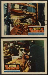 8z865 REVENGE OF FRANKENSTEIN 3 LCs '58 Hammer, English horror, Peter Cushing, Eunice Gayson!
