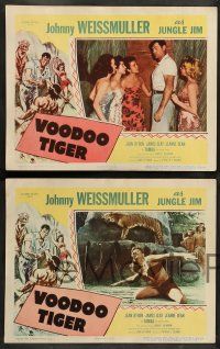 8z550 VOODOO TIGER 8 LCs '52 Johnny Weissmuller as Jungle Jim & sexy Jeanne Dean!