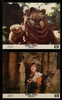 9a041 CARAVAN OF COURAGE 8 8x10 mini LCs '84 An Ewok Adventure, Star Wars, great images!