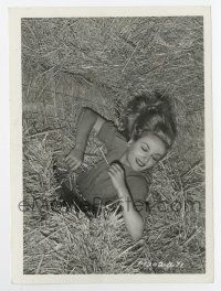 9h207 CAROLE LOMBARD 5x7 still '37 sexy farmerette in the hay, a rustic portrait by Don English!