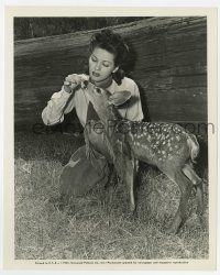 9h364 FRONTIER GAL 8x10 still '45 sexy Yvonne De Carlo making friends with a stray fawn!
