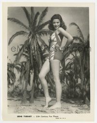 9h374 GENE TIERNEY 8x10.25 still '40s showing off her sexy figure in a bathing suit on the beach!