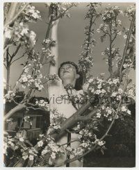 9h382 GERALDINE FITZGERALD deluxe 8x10 still '40 the pretty actress in a cherry tree by Welbourne!