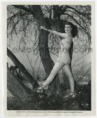 9h702 PATRICIA ALPHIN 8.25x10 still '46 the sexy actress modeling a swimsuit up in a tree!