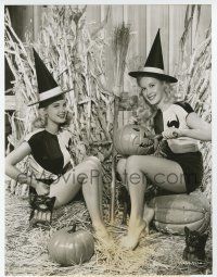9h127 BARBARA BATES/PENNY EDWARDS 7.5x9.75 still '47 carving pumpkins in bewitching skimpy costumes