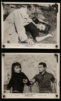 9s598 BOY ON A DOLPHIN 5 8x10 stills '57 images of Alan Ladd & sexiest Sophia Loren!