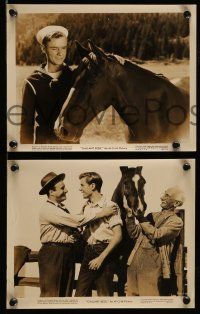 9s847 GALLANT BESS 3 8x10 stills '47 Marshall Thompson, George Tobias and Bess the Horse!