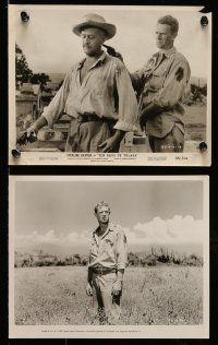 9s224 TEN DAYS TO TULARA 13 8x10 stills '58 Sterling Hayden & Raynor chased across S. America!