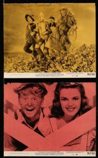 9s061 THAT'S ENTERTAINMENT 8 8x10 mini LCs '74 best scenes from classic MGM Hollywood movies!