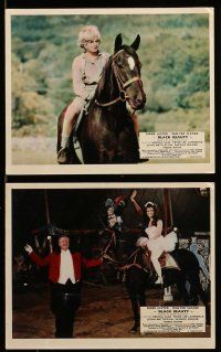 9s020 BLACK BEAUTY 8 color English FOH LCs '71 Mark Lester, Walter Slezak, classic horse story!