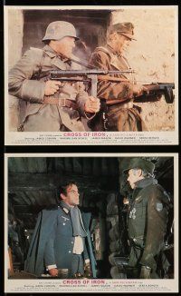9s030 CROSS OF IRON 8 color English FOH LCs '77 Sam Peckinpah, James Coburn as Nazi soldier!