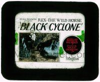 1a011 BLACK CYCLONE glass slide '25 written & produced by Hal Roach, great image of wild horses!