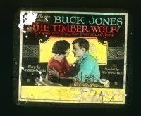 1a129 TIMBER WOLF glass slide '25 Buck Jones, Elinor Fair, a romance of a man feared & loved!