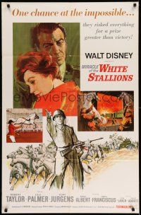 1f548 MIRACLE OF THE WHITE STALLIONS 1sh '63 Walt Disney, Lipizzaner stallions & soldiers art!