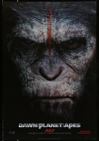 1k168 DAWN OF THE PLANET OF THE APES style A teaser DS 1sh '14 super close-up of Caesar!
