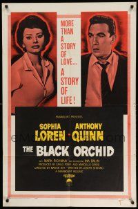 1p102 BLACK ORCHID 1sh '59 Anthony Quinn, Sophia Loren, a story of love directed by Martin Ritt!