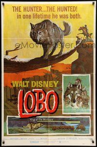 1p564 LEGEND OF LOBO 1sh R72 Walt Disney, King of the Wolfpack, cool artwork of wolf being hunted!