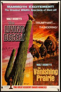1p580 LIVING DESERT/VANISHING PRAIRIE 1sh '71 art from Walt Disney wildlife double-bill!