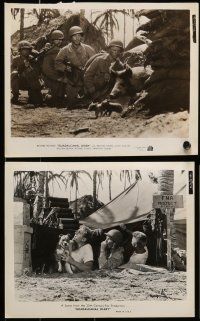 1s482 GUADALCANAL DIARY 8 8x10 stills '43 bendix, 16 year-old Richard Jaeckel & Lloyd Nolan in WWII