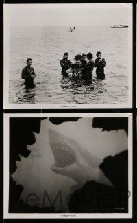 1s762 JAWS 4 8x10 stills '75 1 with candid Spielberg, Scheider, image of Bruce from inside ship!