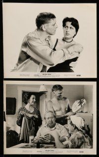 1s215 ROSE TATTOO 13 8x10 stills '55 Burt Lancaster, Anna Magnani, written by Tennessee Williams!