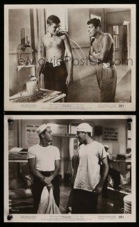 1s970 SAILOR BEWARE 2 8x10 stills '52 wacky Dean Martin & Jerry Lewis in the Navy!